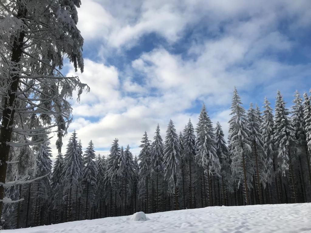 Ferienhaus Kuestelnest Medebach Bagian luar foto