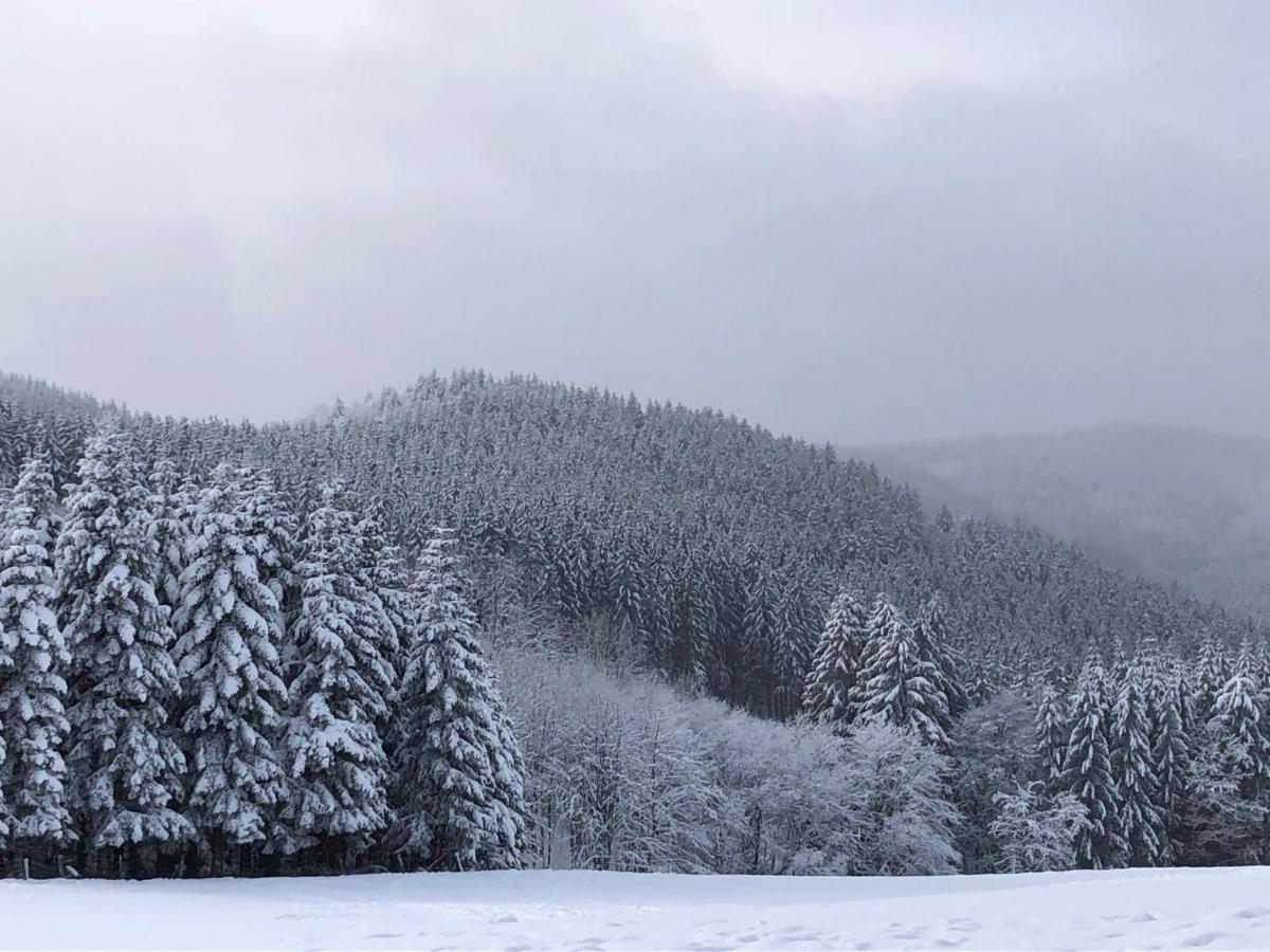 Ferienhaus Kuestelnest Medebach Bagian luar foto