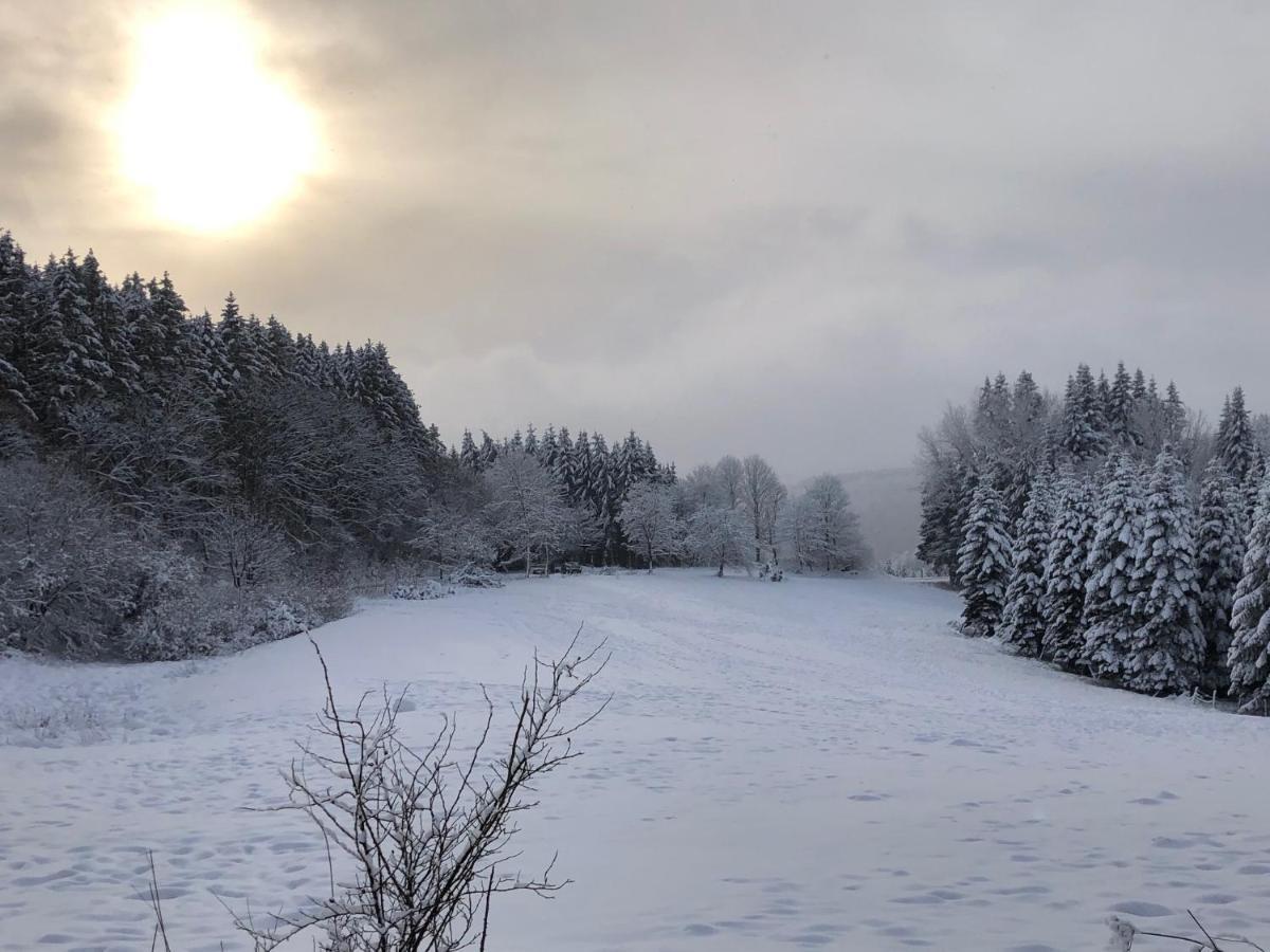 Ferienhaus Kuestelnest Medebach Bagian luar foto